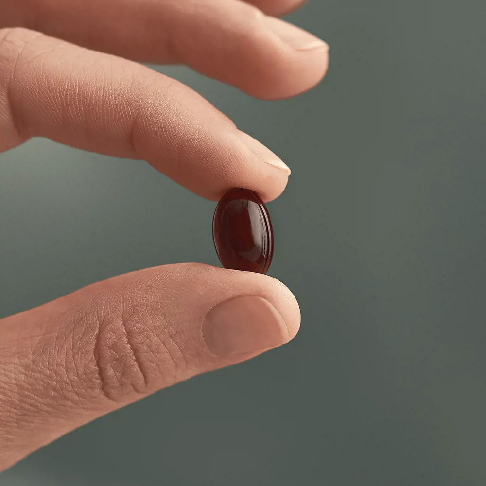 Extrait d'Astaxanthine et de Myrtille Wellosophy - Image 2